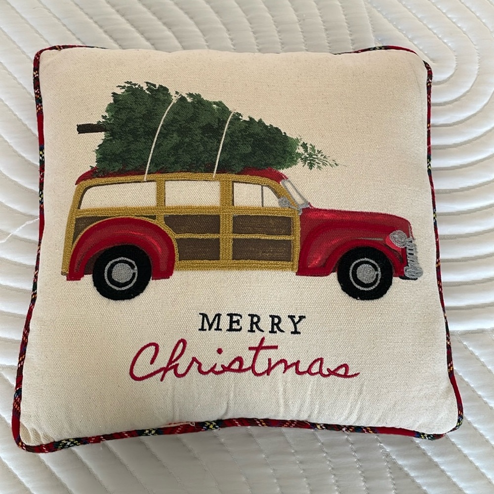 Embroidered/Painted Christmas Throw Pillow